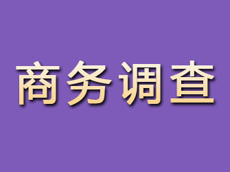 施甸商务调查