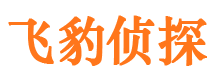 施甸市侦探